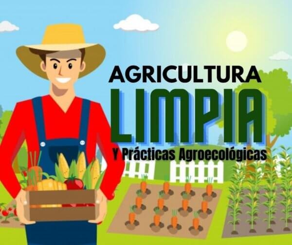 Agricultura limpia y prácticas agroecológicas para implementarla entufinca