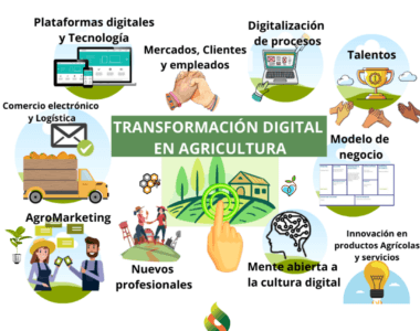 #TransformaciónDigitalEnAgricultura, #EnTuFinca