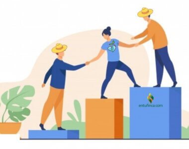 Liderazgo Transformacional entufinca