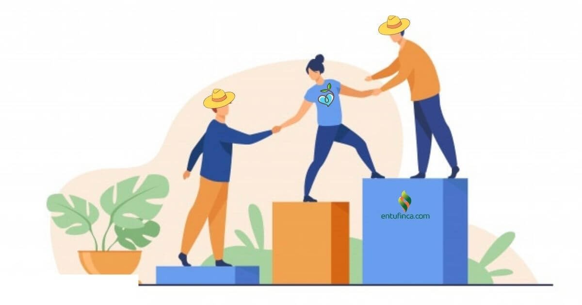 Liderazgo Transformacional. ¿Qué es? Ventajas y desventajas. entufinca