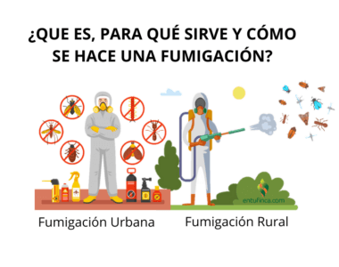 Fumigación que es y para que sirve?