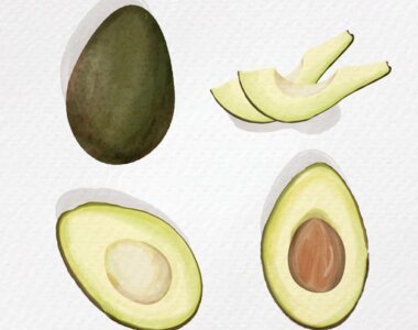 Registros AgroquímicosAguacate Hass entufinca