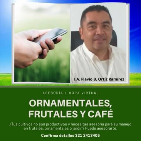 #AsesoríaOrnamentalesFrutalesCafé