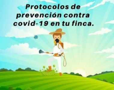 ProtocoloCovid19, #entufinca