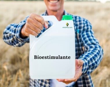 Biestimulantes, tipos, ventajas y desventajas de uso