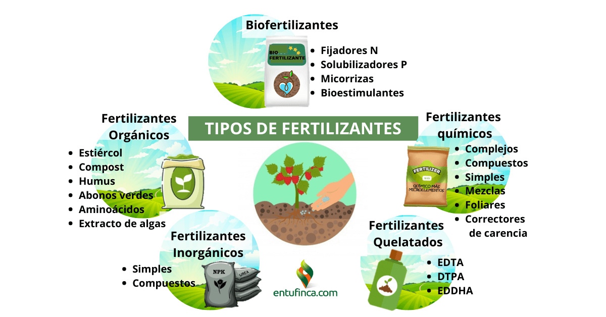 Todo Sobre Tipos De Fertilizantes, Qué Son Y Uso. - Marketplace Entufinca