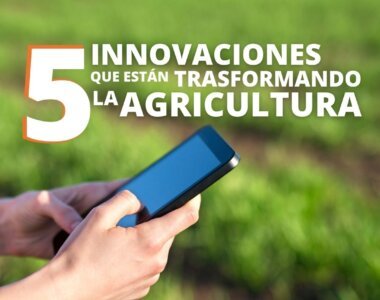 Conoce las 5 innovaciones que están transformando la agricultura.