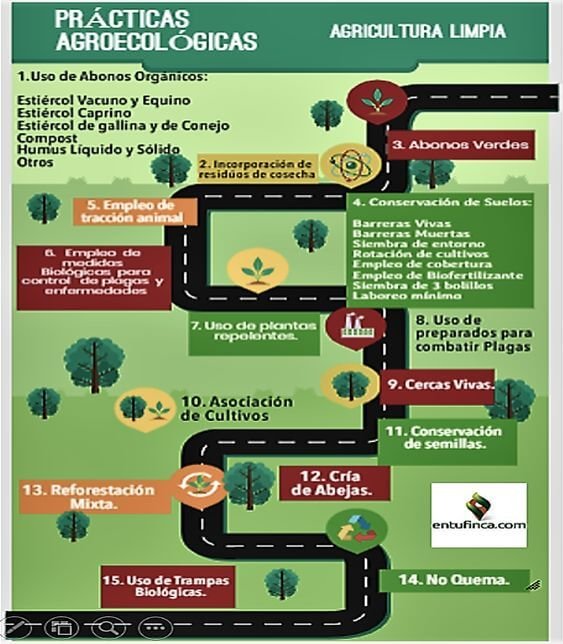 PracticasAgroecologicasAgriculturaLimpia-EnTuFinca