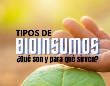 Tipos de bioinsumos, ¿Qué son y para qué sirven?