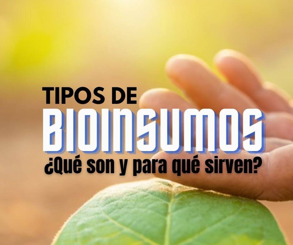 Tipos de bioinsumos, ¿Qué son y para qué sirven?