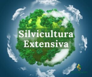 #EnTuFinca, #SilviculturaExtensiva