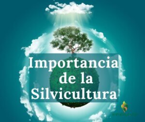 EnTuFinca-SilviculturaImportancia