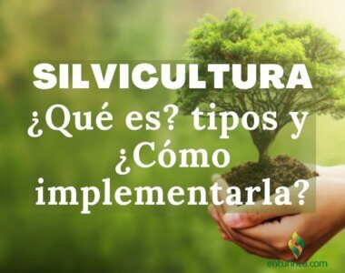 #EnTuFincaSilvicultura