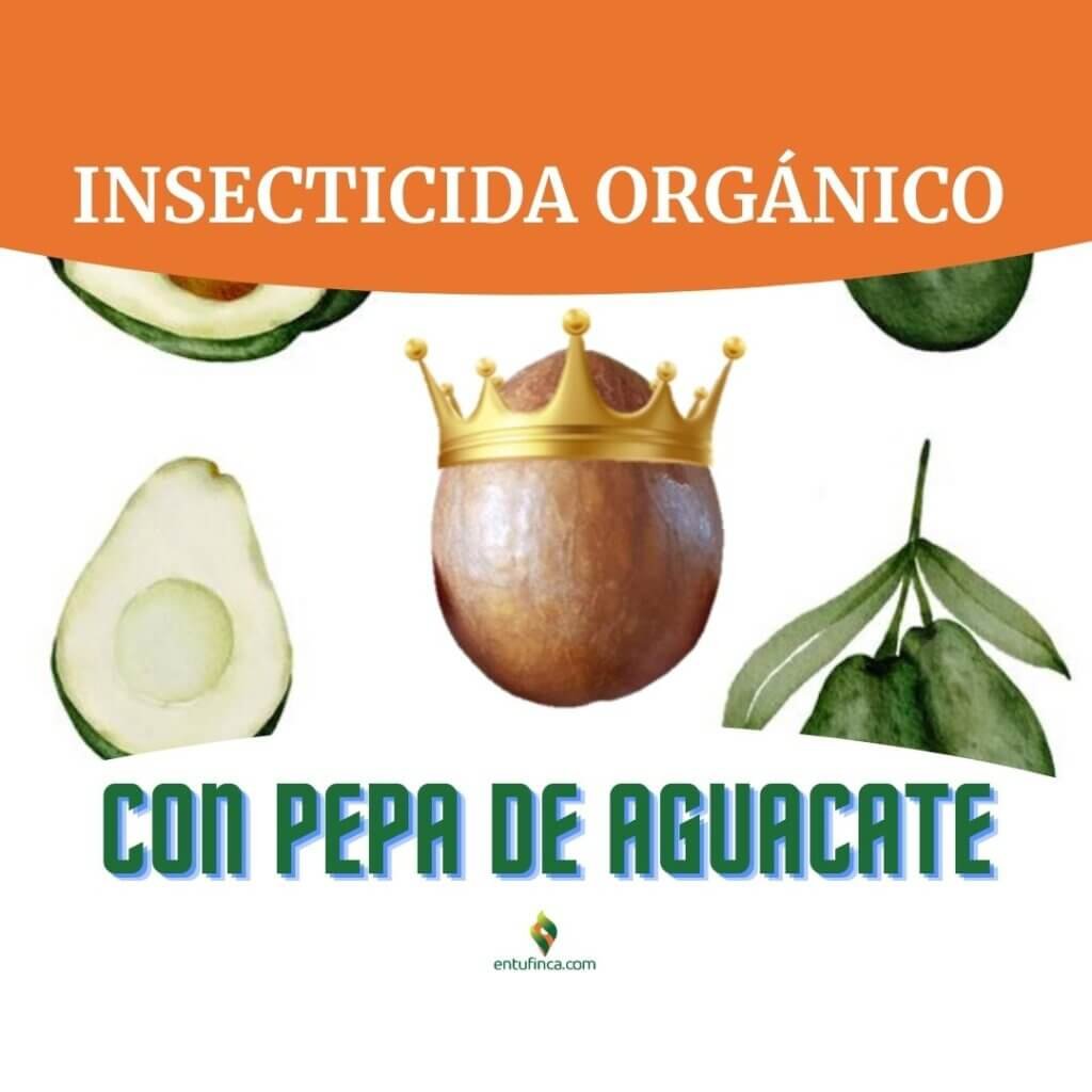 EnTuFincaInsecticidaCaseroY OrgánicoConPepaDeAguacate