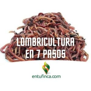 LombriculturaPasos-EnTuFinca.