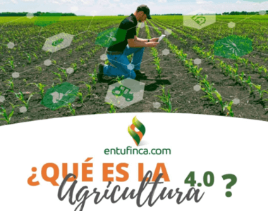 #EnTuFinca, #Agro, #Cultivos, #Agricultura4.0 y ventas digitales.