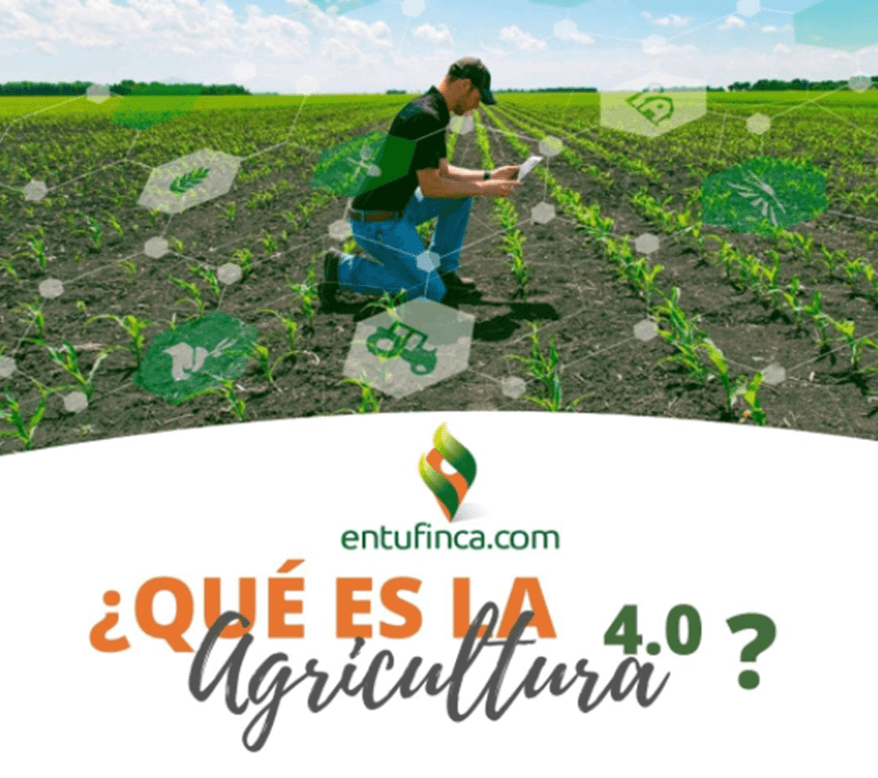 #EnTuFinca, #Agro, #Cultivos, #Agricultura4.0 y ventas digitales.