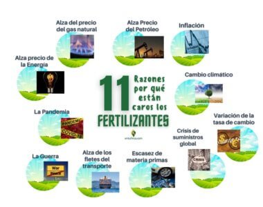 11RazonesPorQueEstanCarosLosFertilizantes, #EnTuFinca