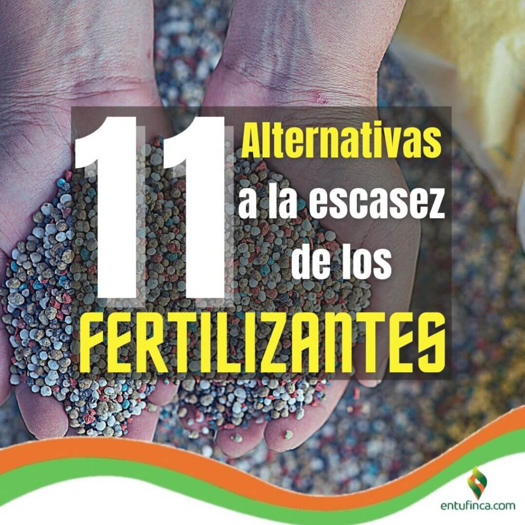 #11AlternativaEscasezFertilizantes, #EnTuFinca,