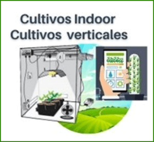 TendenciaCultivosIndoor-CultivosVerticales-EnTuFinca