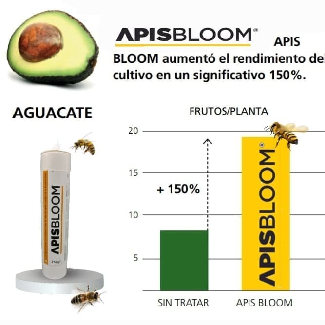 AtrayenteDeAbejas-ApisBloom